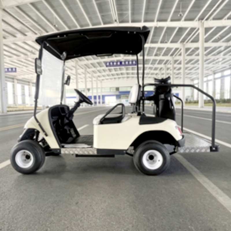 Nouveau modèle 2026, Buggy de  - Golf Bag Stand Cart avis et prix