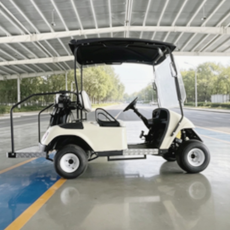 Nouveau modèle 2026, Buggy de  - Golf Bag Stand Cart avis et prix
