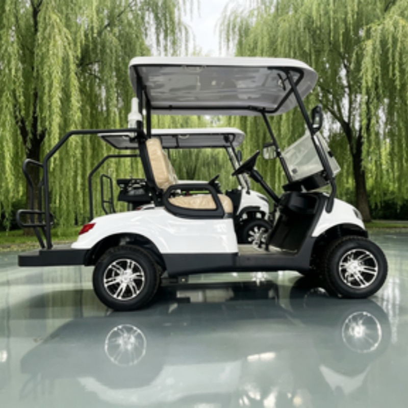 Voiturette de golf électrique  - Golf Bag Stand Cart avis et prix