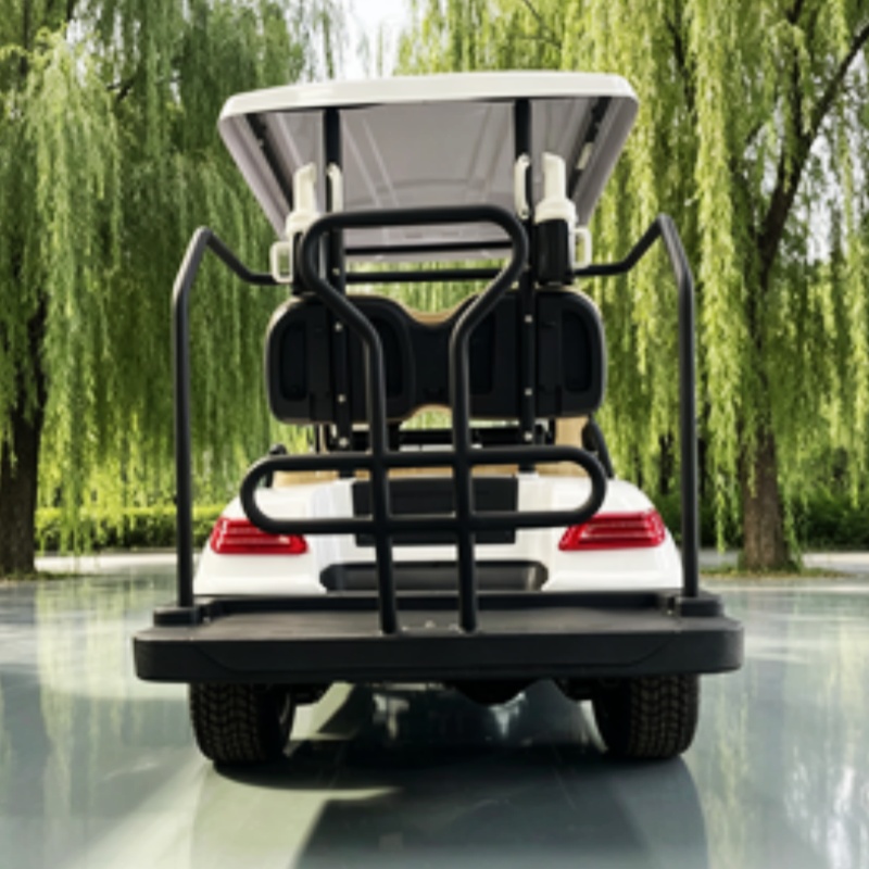 Voiturette de golf électrique  - Golf Bag Stand Cart avis et prix
