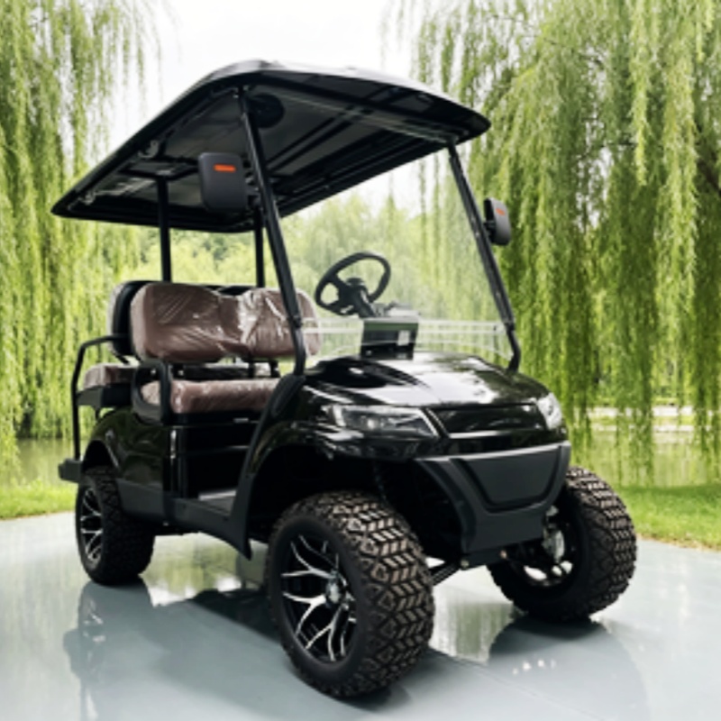 Voiturette de golf électrique  - Golf Bag Stand Cart avis et prix