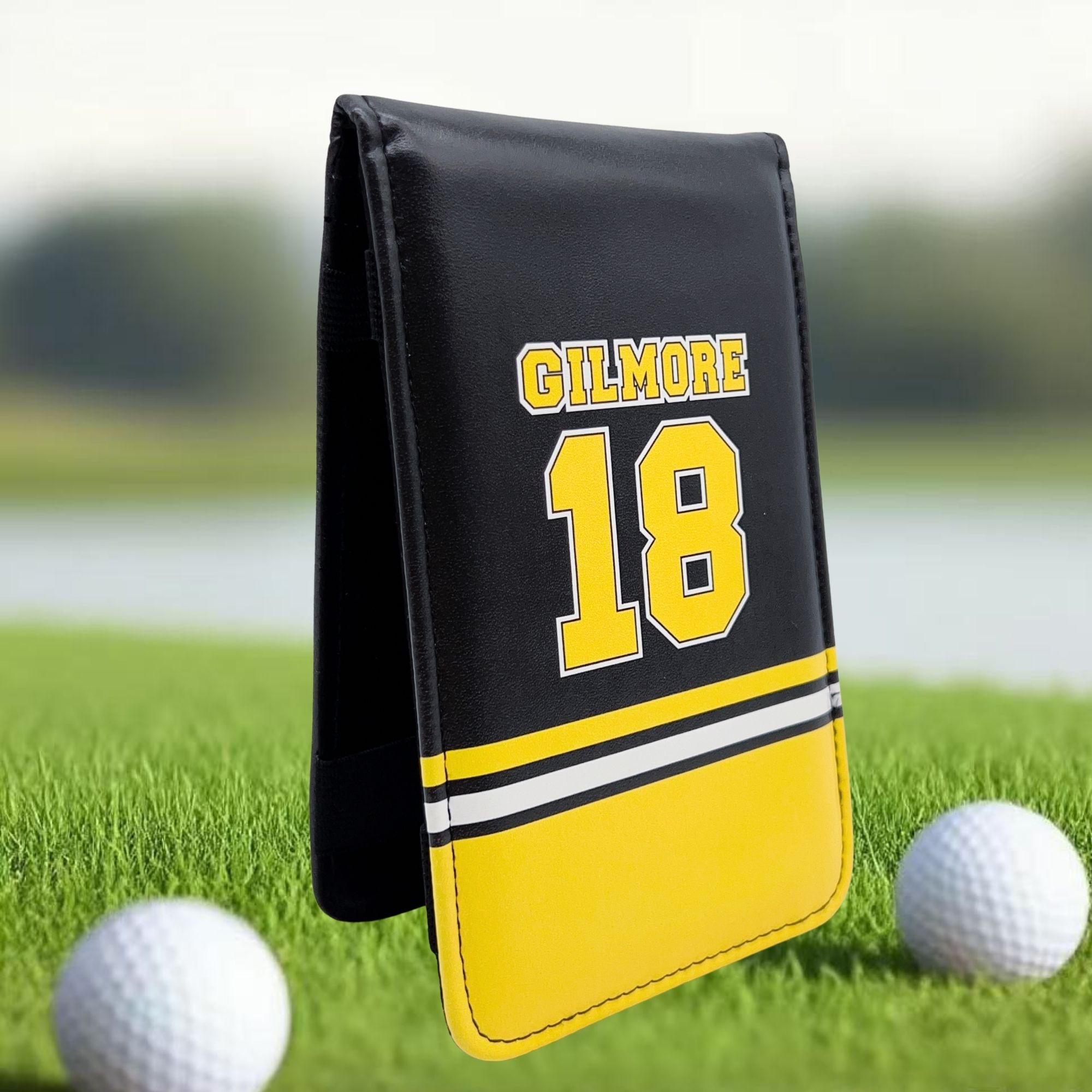 Housse de protection pour carn - Ball Marker Set avis et prix